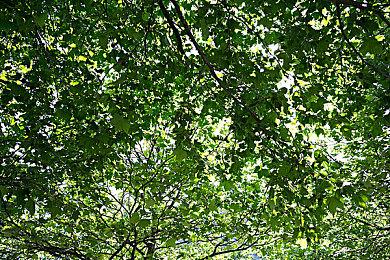 CRYENGINE恐怖冒险《异形方块》10月14日发行