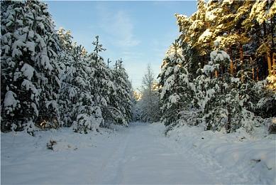 《仙剑奇侠传7》DLC上线 N卡光追开启＆关闭对比图