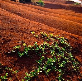 微软：将来会有更多原创日本游戏登陆Xbox